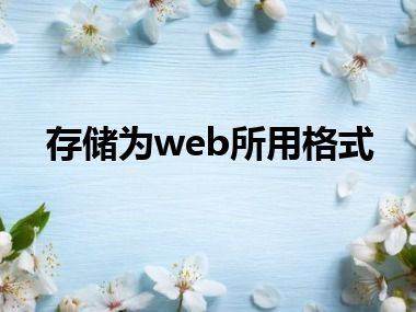 存储为web所用格式