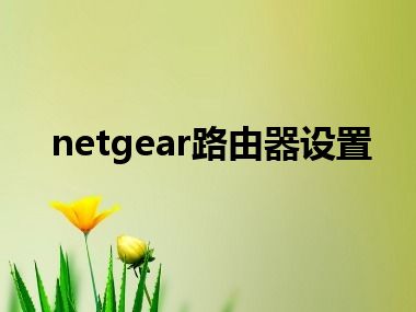 netgear路由器设置