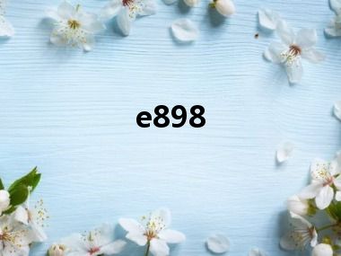 e898