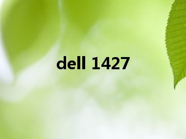 dell 1427