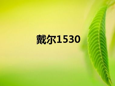 戴尔1530