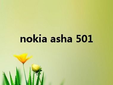 nokia asha 501