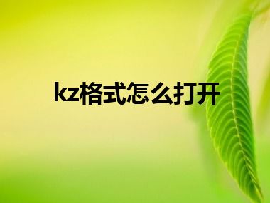 kz格式怎么打开